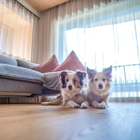 Alpehytte Dolomit Royal Sillian