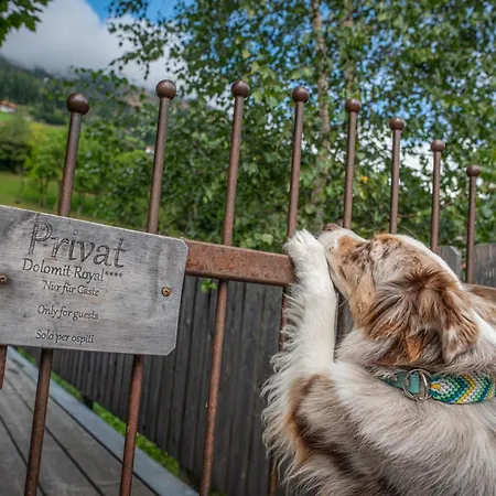 Dolomit Royal Шале *