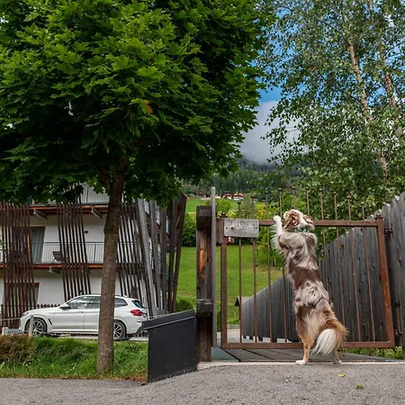 Dolomit Royal Шале