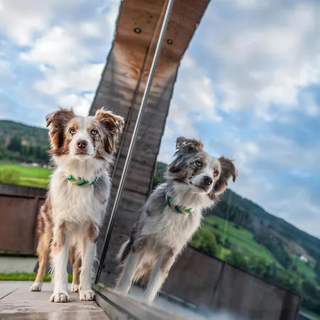 Alpehytte Dolomit Royal