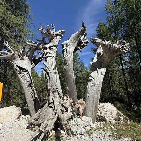 Dolomit Royal *