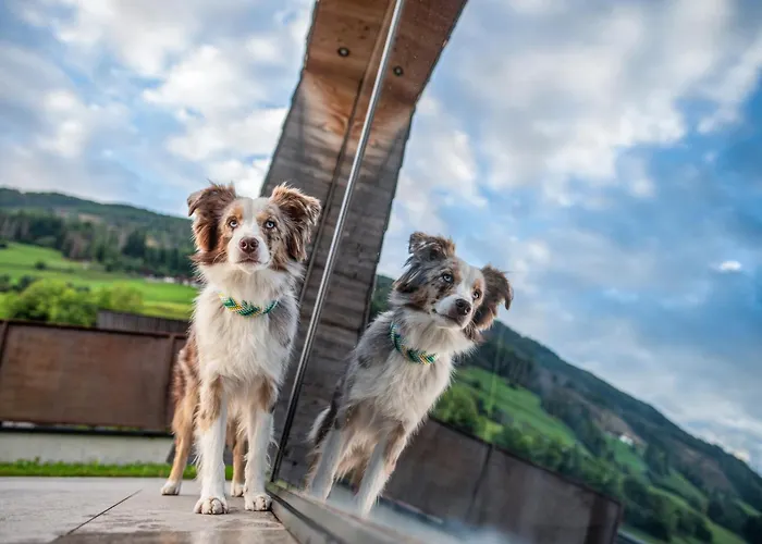 Chalet Dolomit Royal