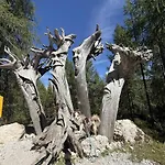 Dolomit Royal *