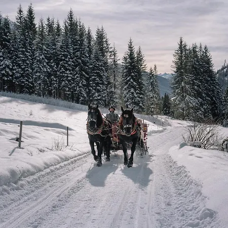 Dolomit Royal *