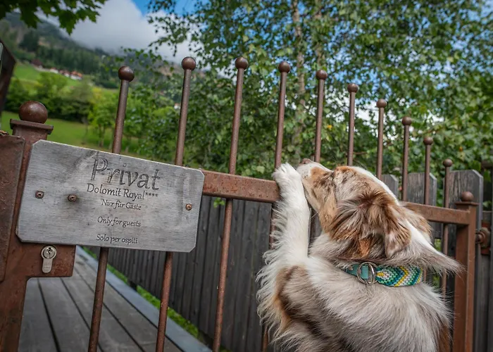 Dolomit Royal Chalet *